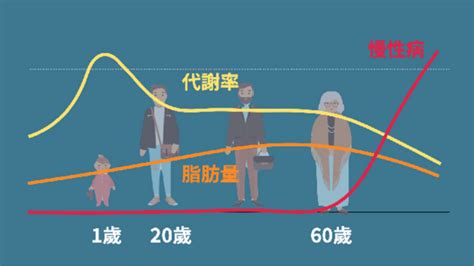 中廣身材|新研究：中年發福和新陳代謝下降無關！ 專家揭2大主。